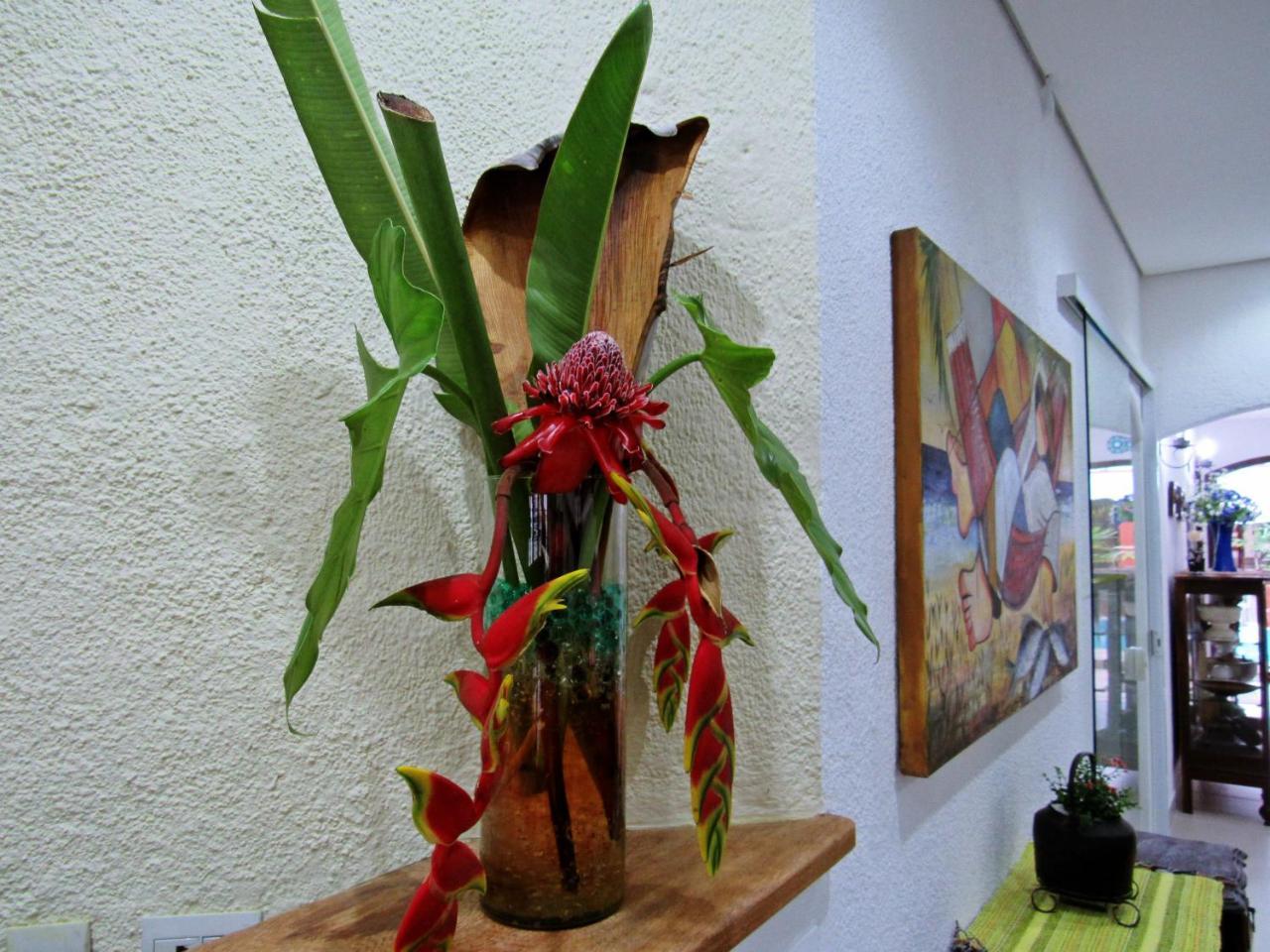 Pousada Do Pinheiro Camburi  Dış mekan fotoğraf